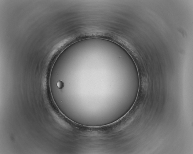 X0000114160629200910151607