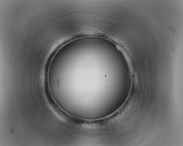 X0000114160630200910151607