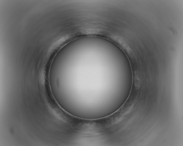 X0000114160631200910151607