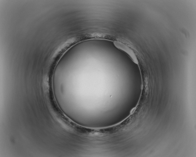 X0000114160634200910151607