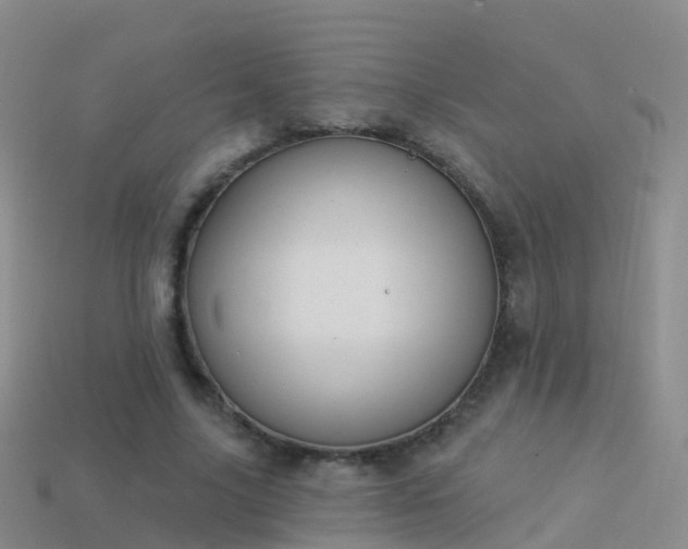 X0000114160635200910151607