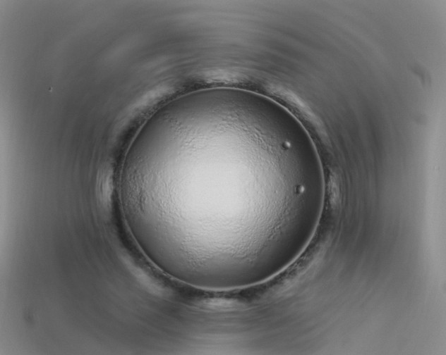 X0000114160637200910151607