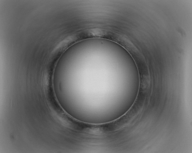 X0000114160639200910151607