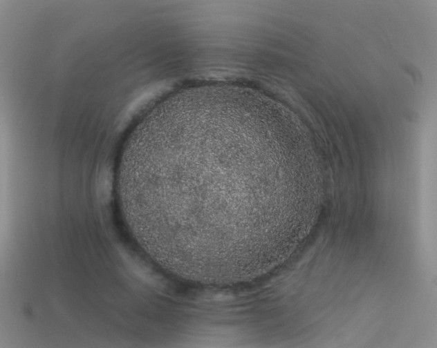 X0000114160640200910151607