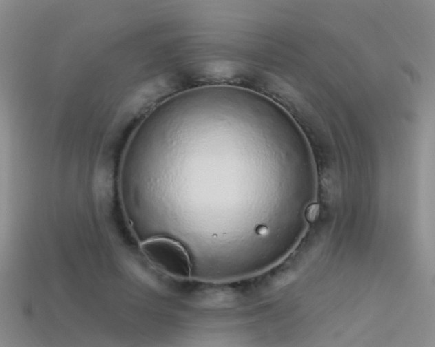 X0000114160642200910151607