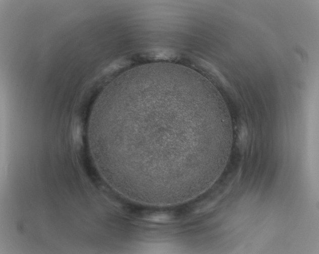 X0000114160643200910151607