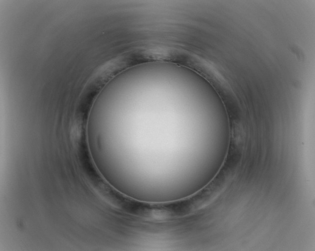 X0000114160645200910151607