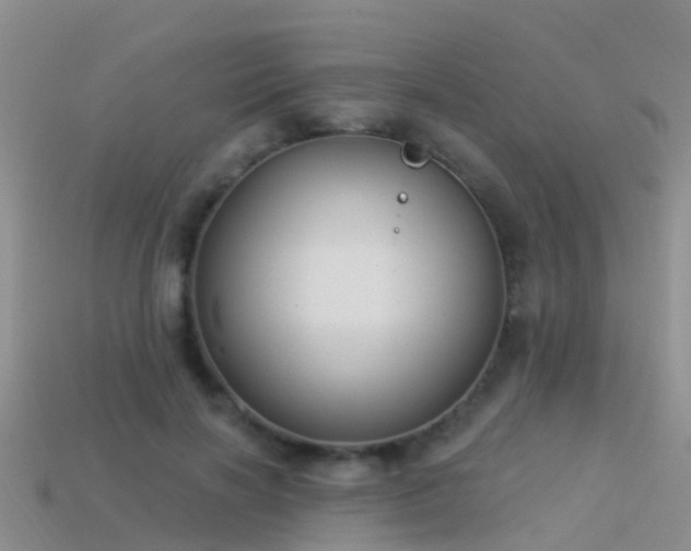 X0000114160646200910151607