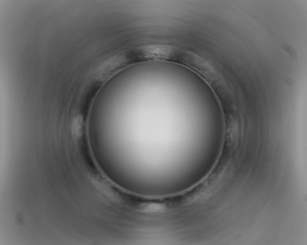 X0000114160649200910151607