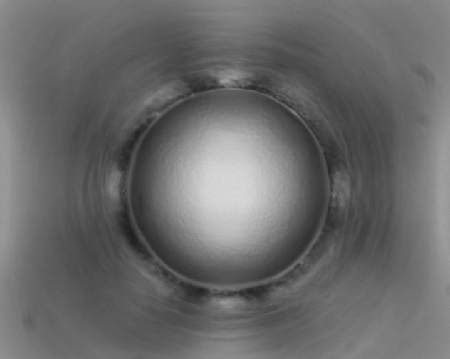 X0000114160650200910151607