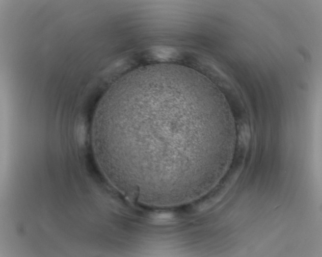 X0000114160651200910151607