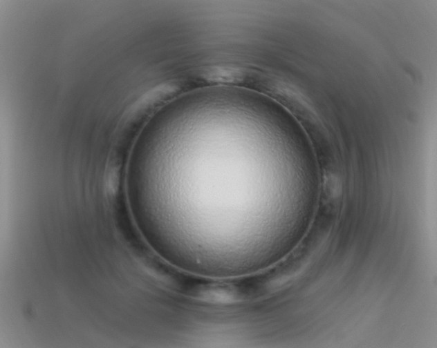 X0000114160652200910151607