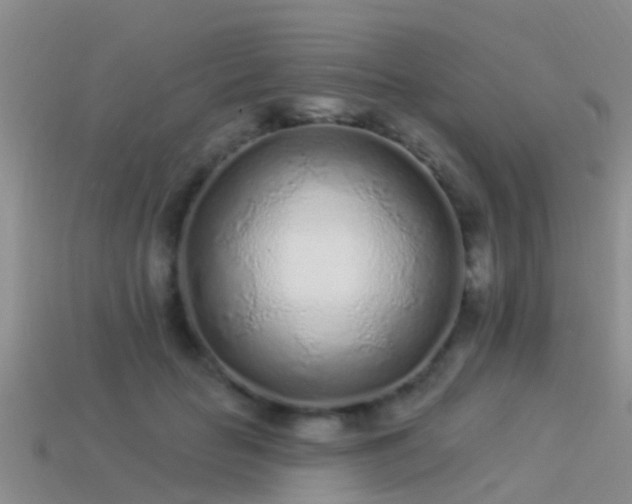 X0000114160653200910151607