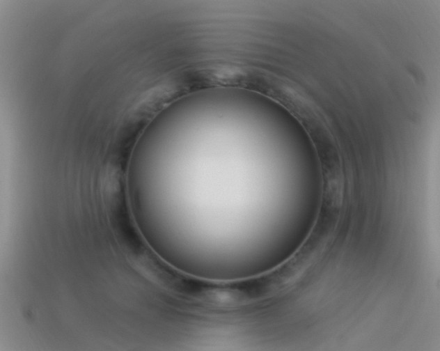 X0000114160654200910151607