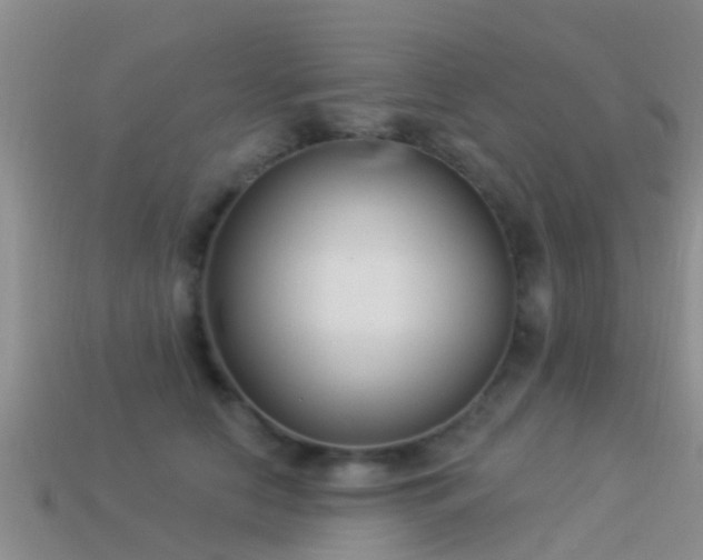 X0000114160658200910151607