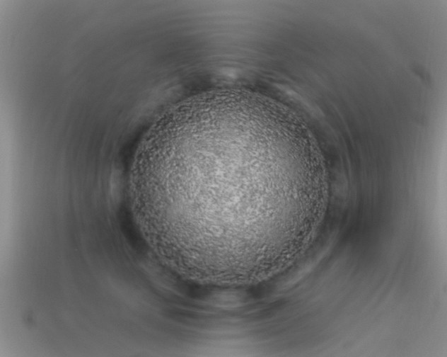 X0000114160659200910151607