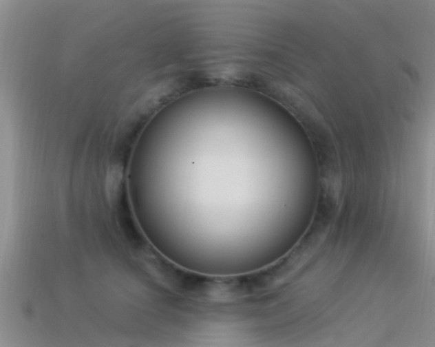 X0000114160660200910151607