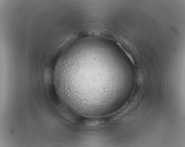 X0000114160661200910151607