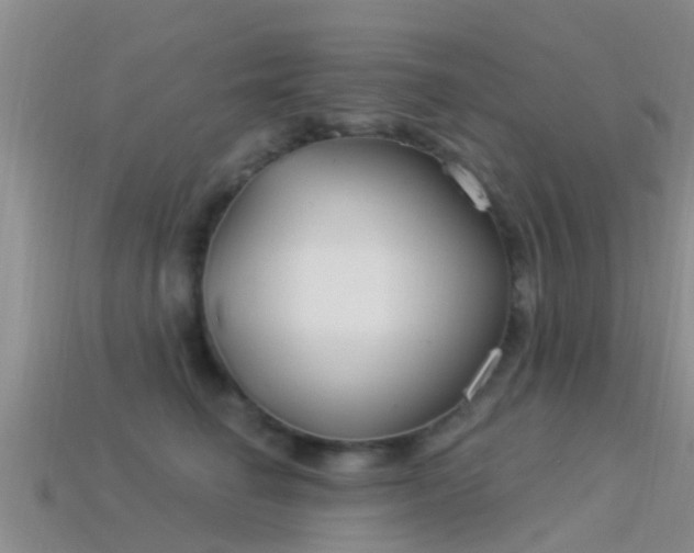 X0000114160662200910151607