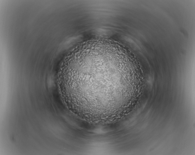 X0000114160663200910151607