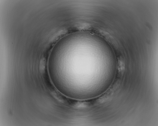 X0000114160664200910151607