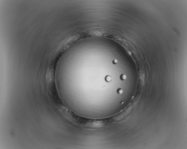 X0000114160665200910151607