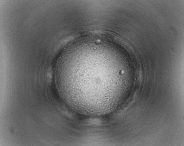 X0000114160668200910151607