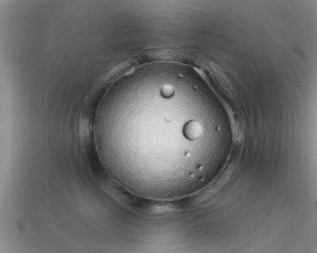 X0000114160669200910151607