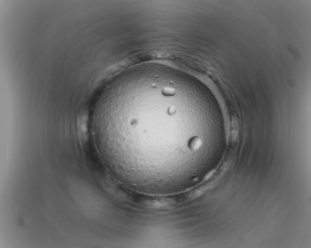 X0000114160670200910151607