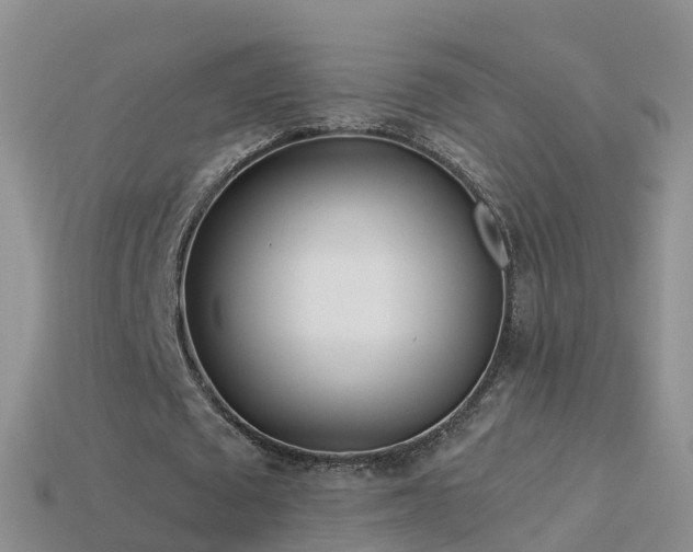 X0000114160673200910151607