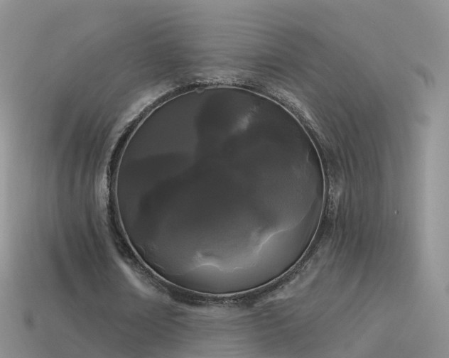 X0000114160674200910151607