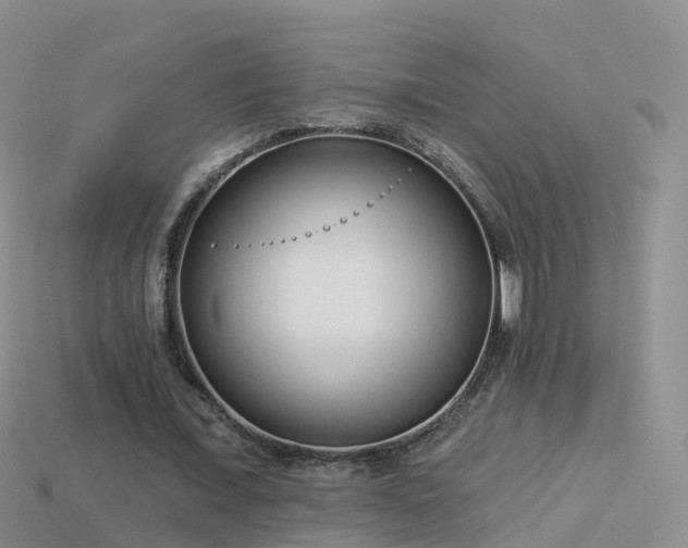 X0000114160675200910151607