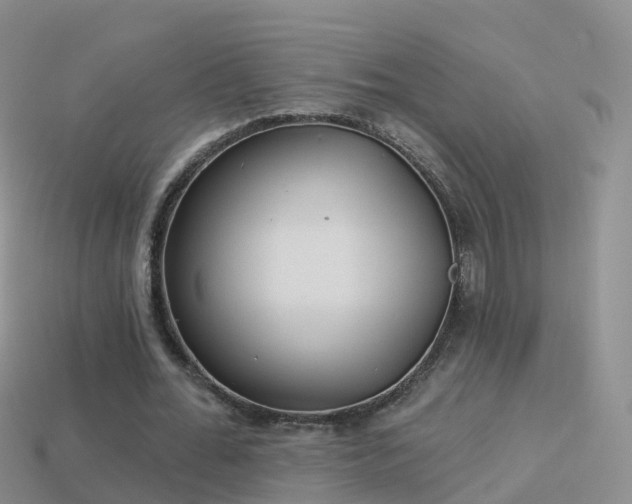 X0000114160676200910151607