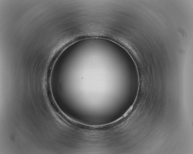 X0000114160677200910151607