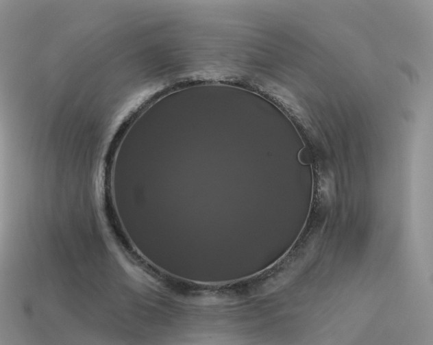 X0000114160678200910151607