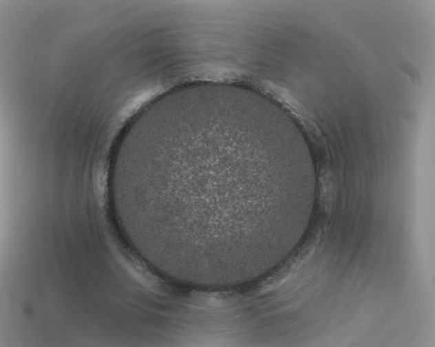 X0000114160679200910151607