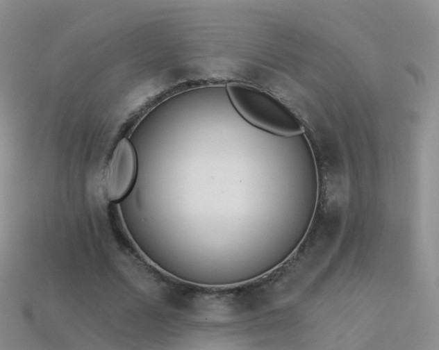 X0000114160680200910151607