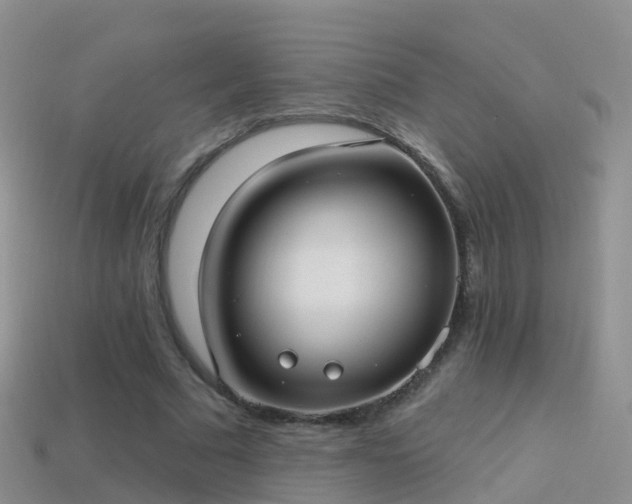 X0000114160681200910151607