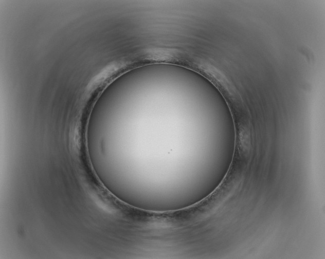 X0000114160682200910151607