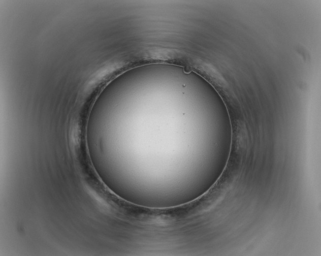 X0000114160683200910151607