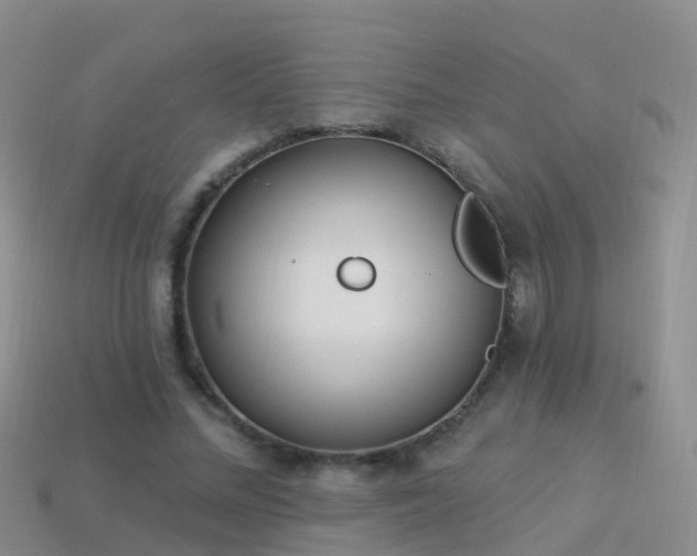 X0000114160684200910151607