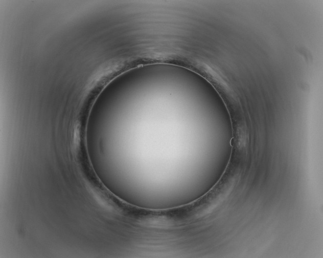 X0000114160685200910151607