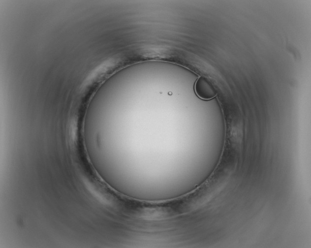 X0000114160686200910151607