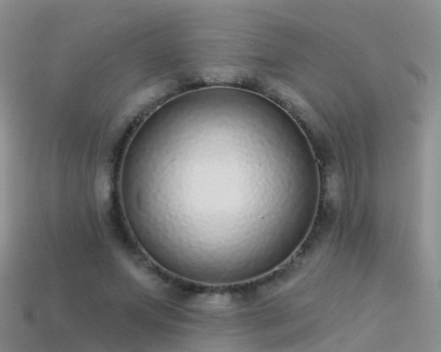 X0000114160687200910151607