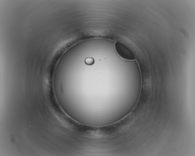 X0000114160688200910151607