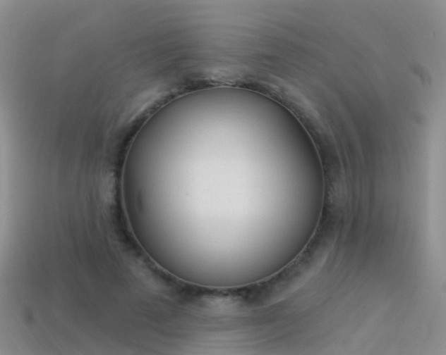 X0000114160689200910151607