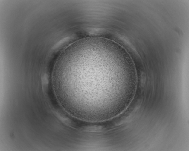 X0000114160691200910151606