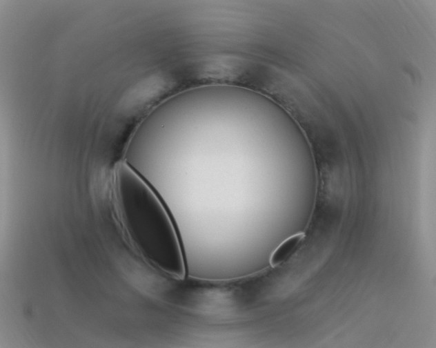 X0000114160692200910151606