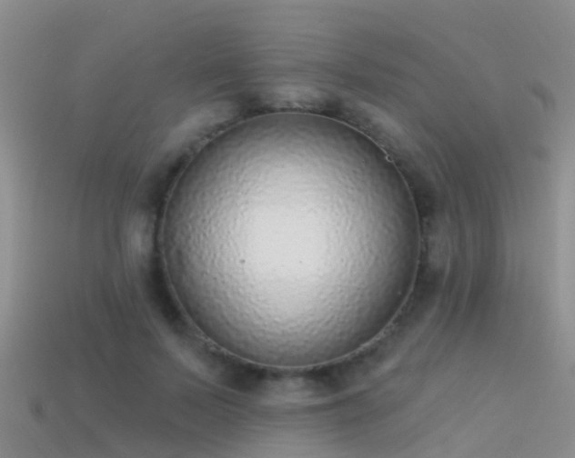 X0000114160695200910151606