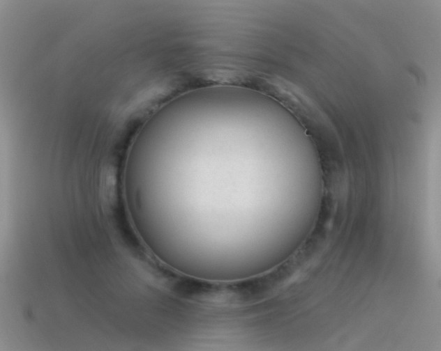 X0000114160696200910151606